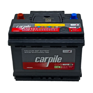باتری 50 آمپر کارپیل L2